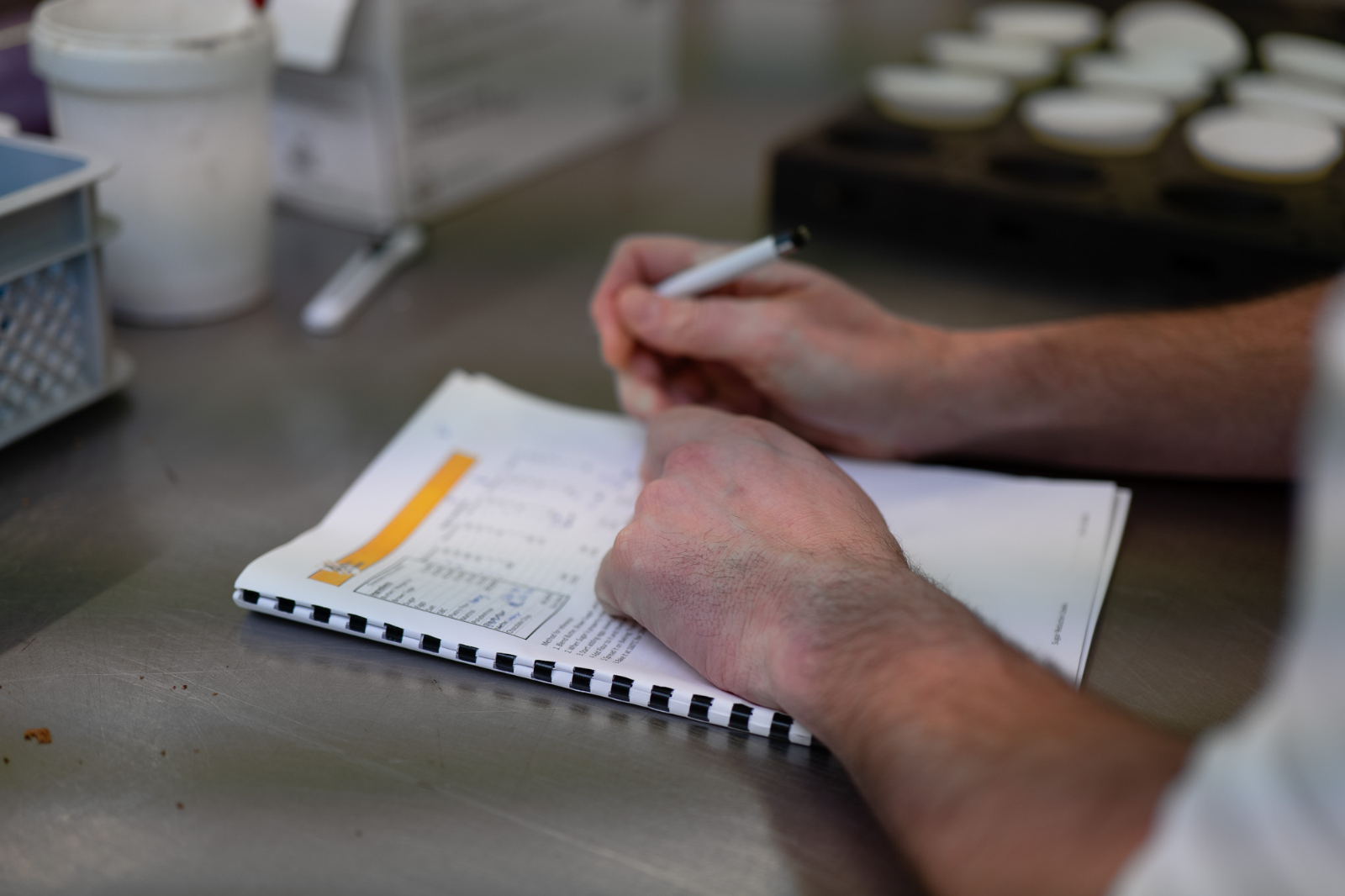 Calorie reduction in biscuits | Bakery Academy